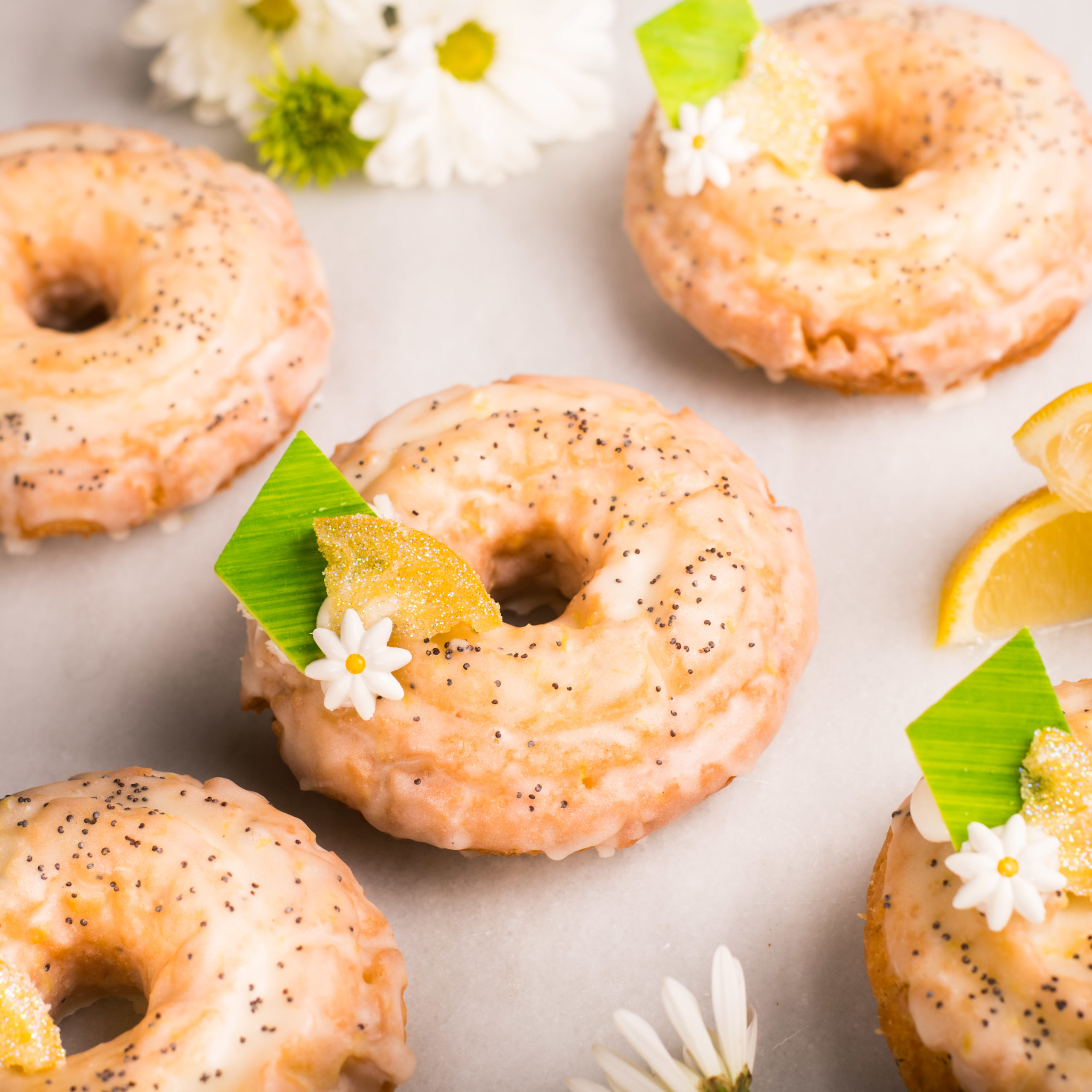 Winter Park Donuts from The Glass Knife - Lemon Poppyseed Cake Donut